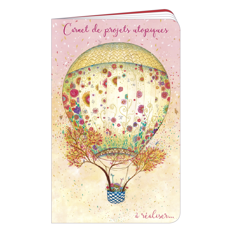 mon carnet de gratitude : version montgolfières
